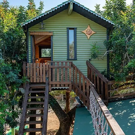 Chalet Casa Del Arbol - Tierra De Arte San Jorge (Castellon)