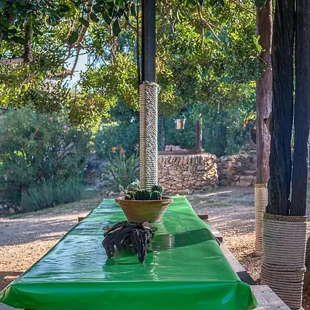 Casa Del Arbol - Tierra De Arte *